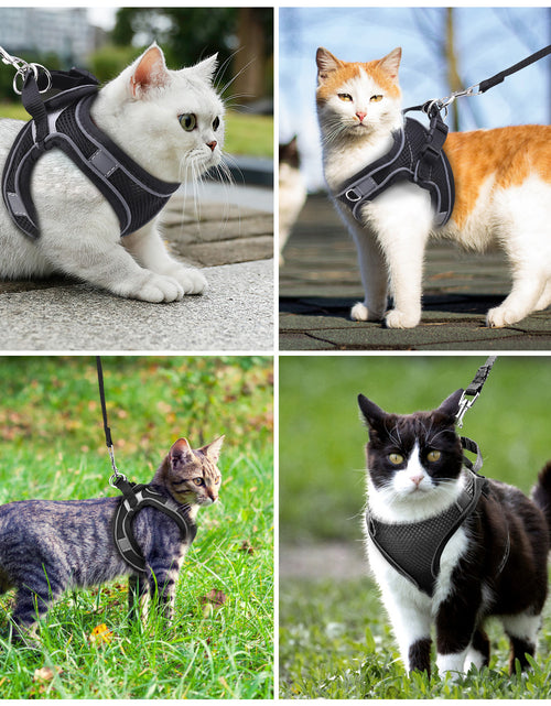 Load image into Gallery viewer, Cat Harness and Leash for Walking, Escape Proof Adjustable Cat Vest Harnesses, Easy Control Breathable Reflective Strips Jacket, Soft Harness for Puppy Small Medium Large Cats, Black(S)
