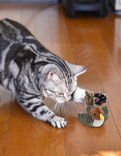 Load image into Gallery viewer, Interactive Electronic Cat Toy, Automatic Chirping Bird Toy Squeaky with Feather Tail, Melody Chaser Toy for Cats to Play Alone, Play and Squeak Kitten Toy for Boredom
