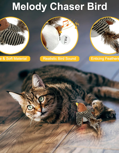 Load image into Gallery viewer, Interactive Electronic Cat Toy, Automatic Chirping Bird Toy Squeaky with Feather Tail, Melody Chaser Toy for Cats to Play Alone, Play and Squeak Kitten Toy for Boredom
