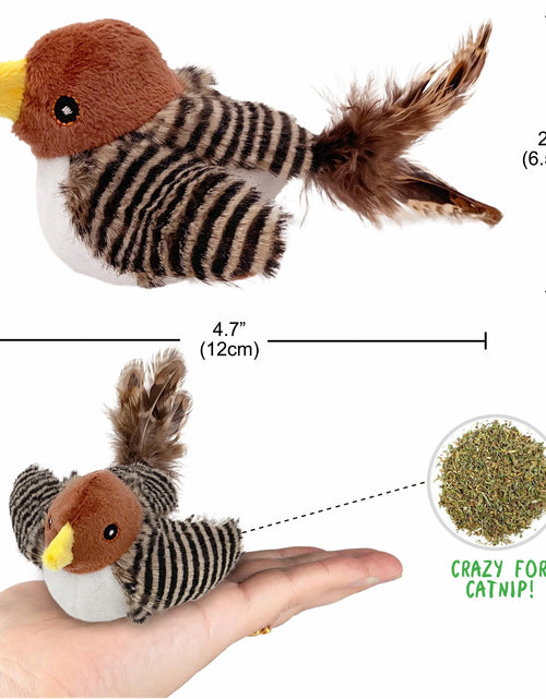 Load image into Gallery viewer, Interactive Electronic Cat Toy, Automatic Chirping Bird Toy Squeaky with Feather Tail, Melody Chaser Toy for Cats to Play Alone, Play and Squeak Kitten Toy for Boredom
